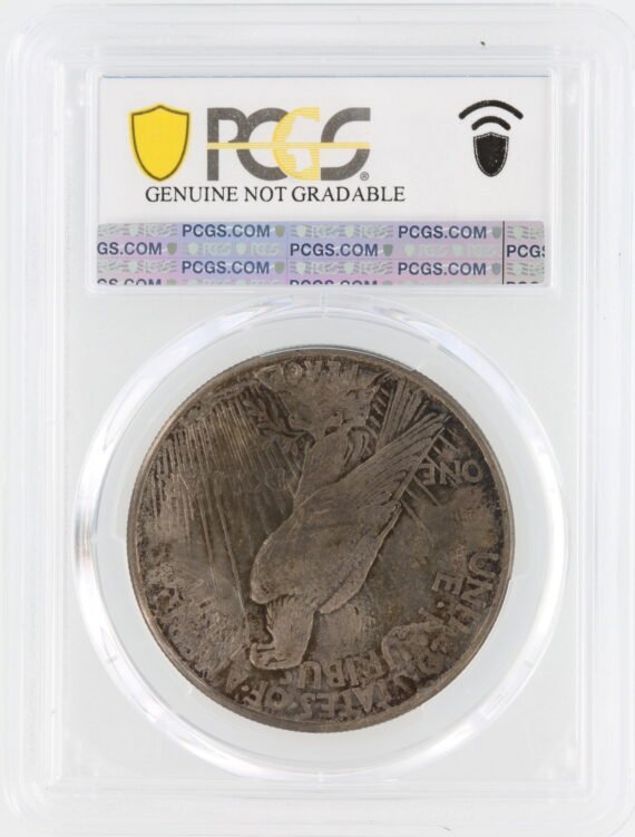 1921 Peace Dollar PCGS Genuine Cleaned-UNC Detail High Relief $1 - Image 3
