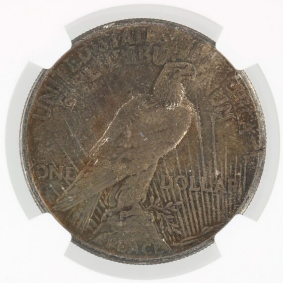 1921 Peace Dollar NGC MS64 High Relief $1 - Image 4