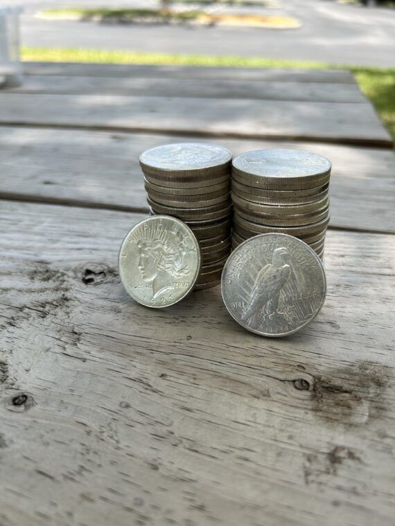 Silver Peace Dollar Better Detail Cull Lot of 20 - Image 2